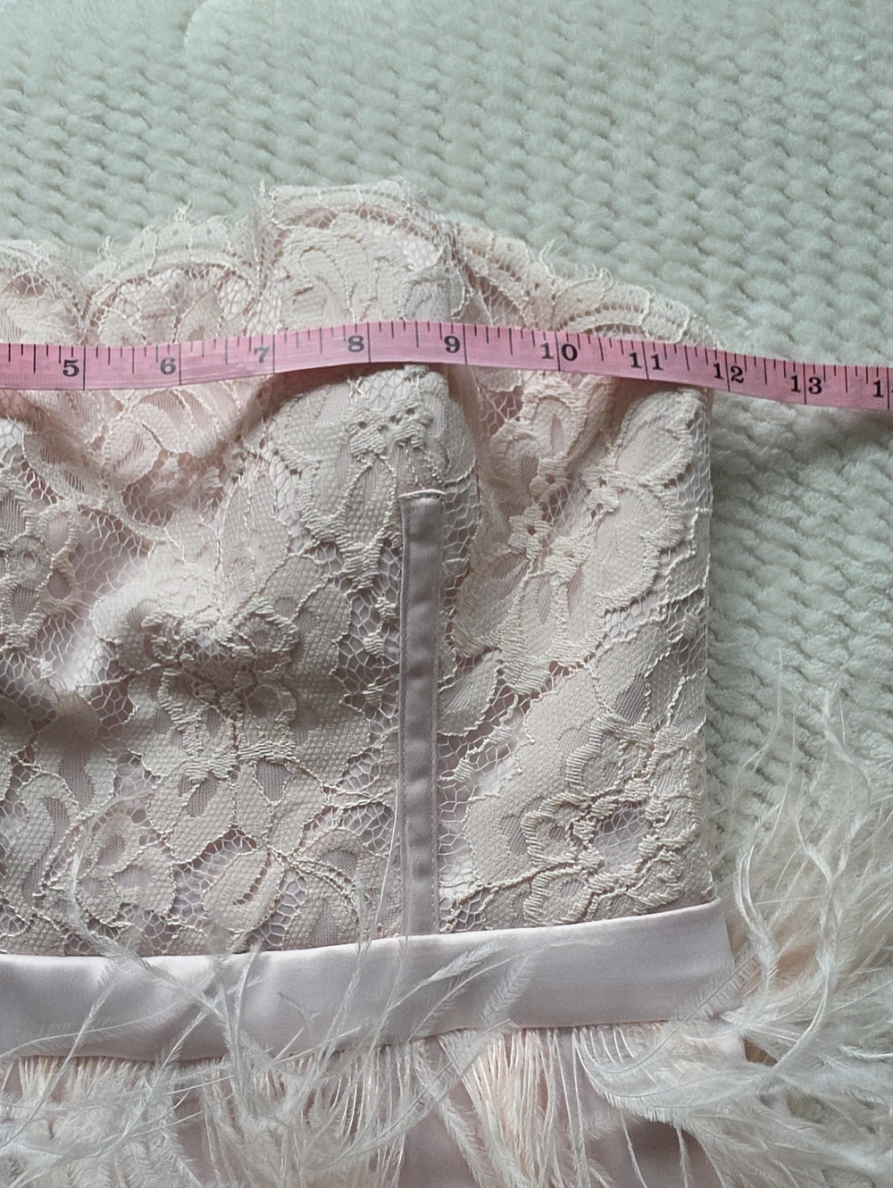 Bebe Strapless Blush Lace & Feather Cocktail Dress - Picture 4 of 11
